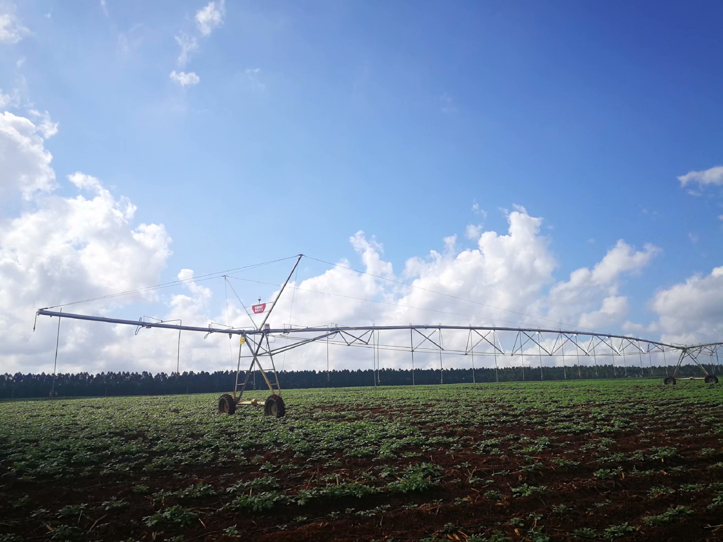 广东湛江自动化灌溉项目